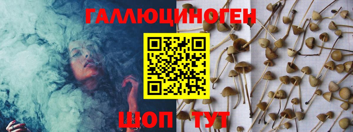 Псилоцибиновые грибы ЛСД  Вход с VPN  Москва 